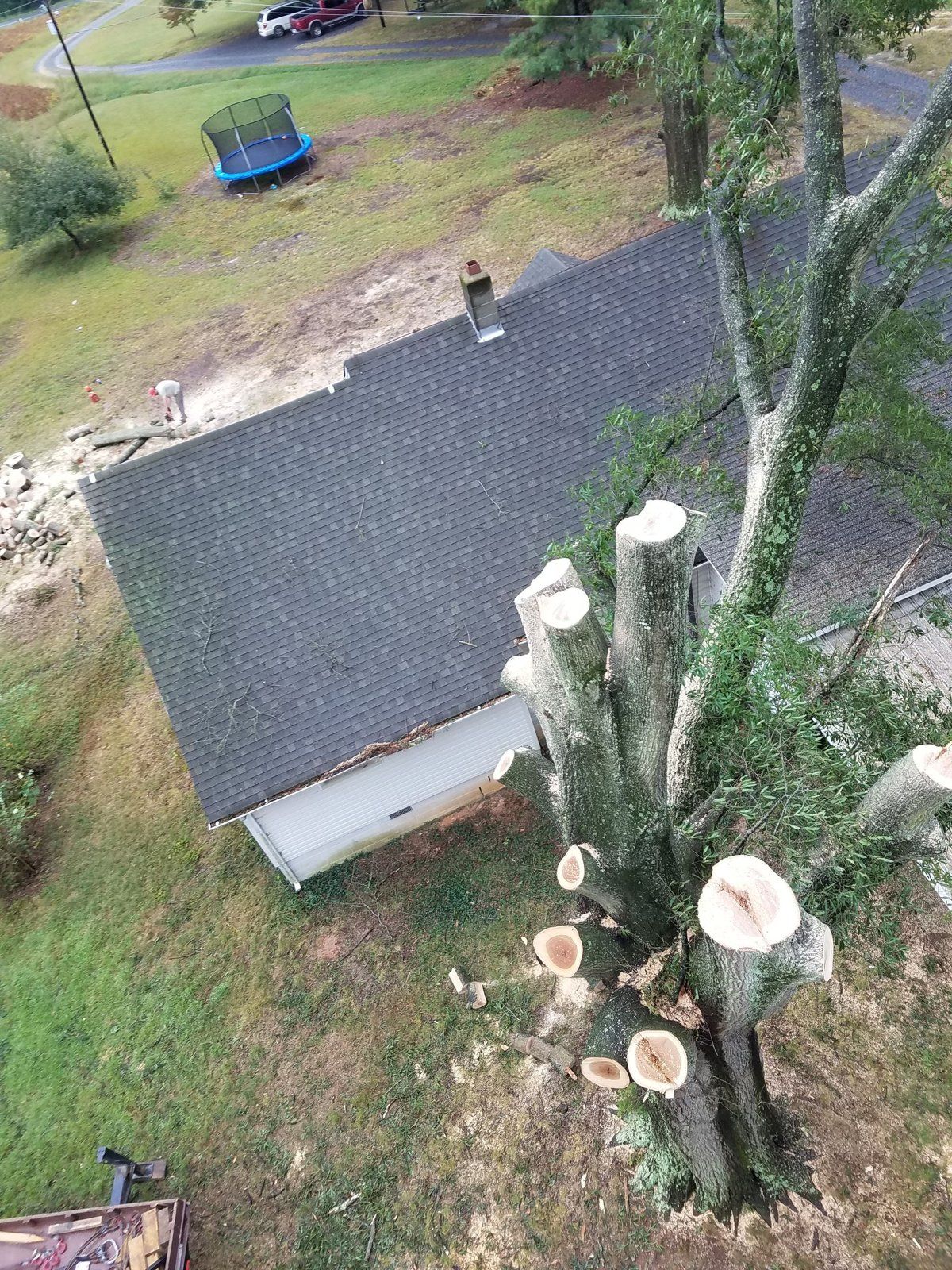 Tree being taken down beside a roof