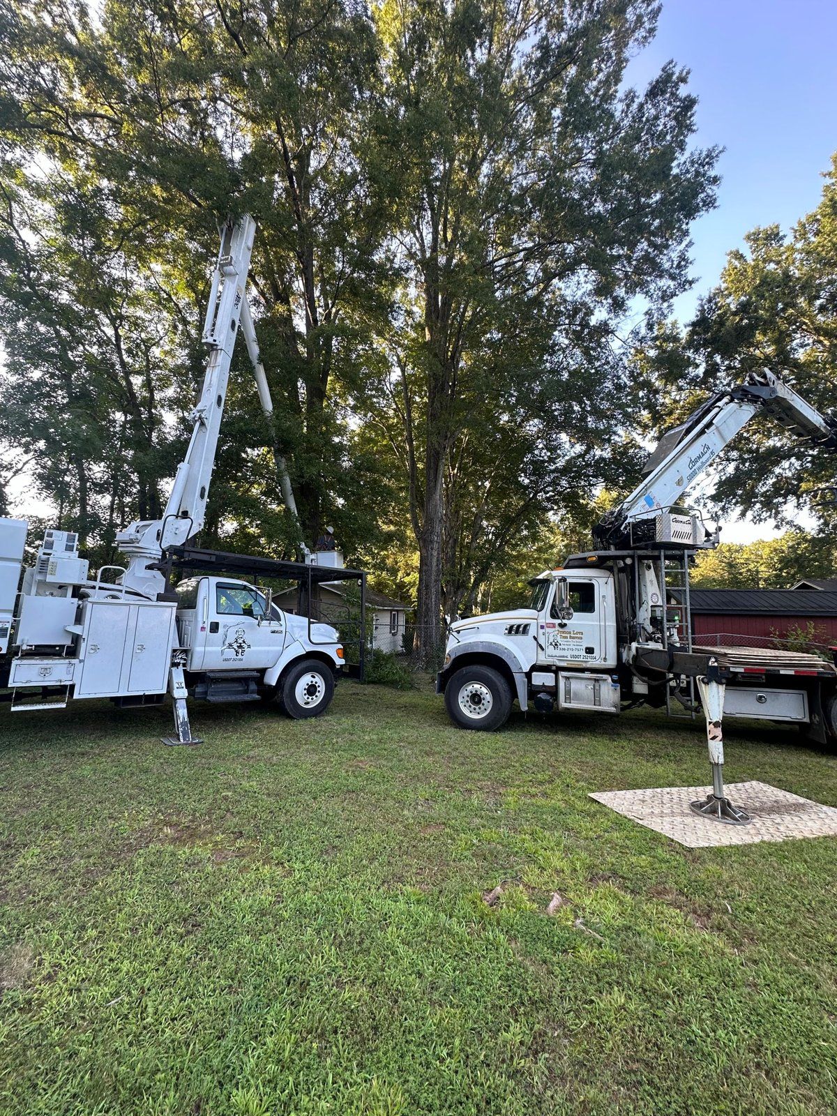 Two bucket trucks set up in a backyard for tree work