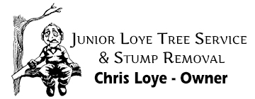 Junior Loye Tree Service